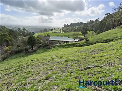 Main view of Homely rural property listing, 1019 Darnum Allambee Road, Cloverlea VIC 3822