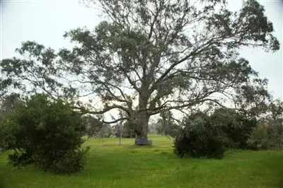 Sixth view of Homely land listing, 134 Common Road, Inverleigh VIC 3321