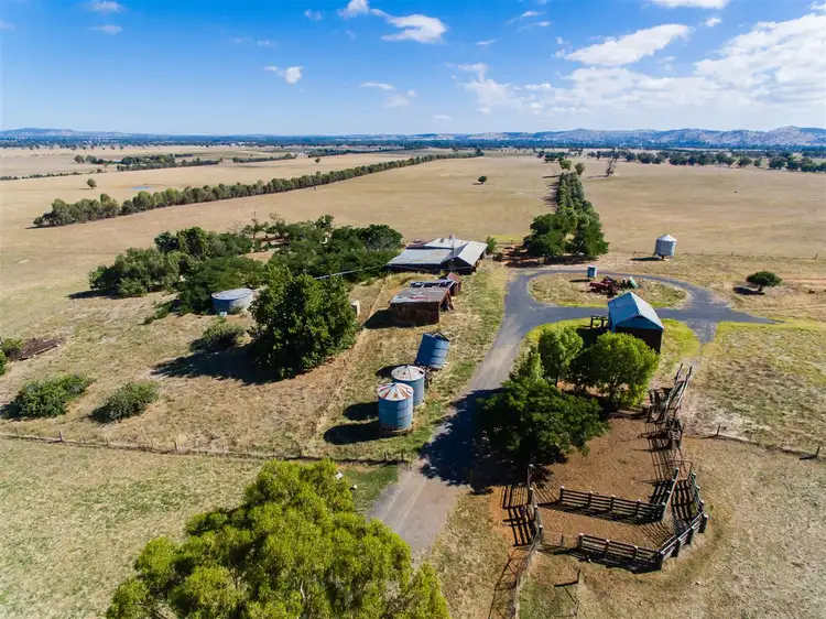 Fifth view of Homely rural property listing, "Hillview"/186 Wagga Road, Holbrook NSW 2644