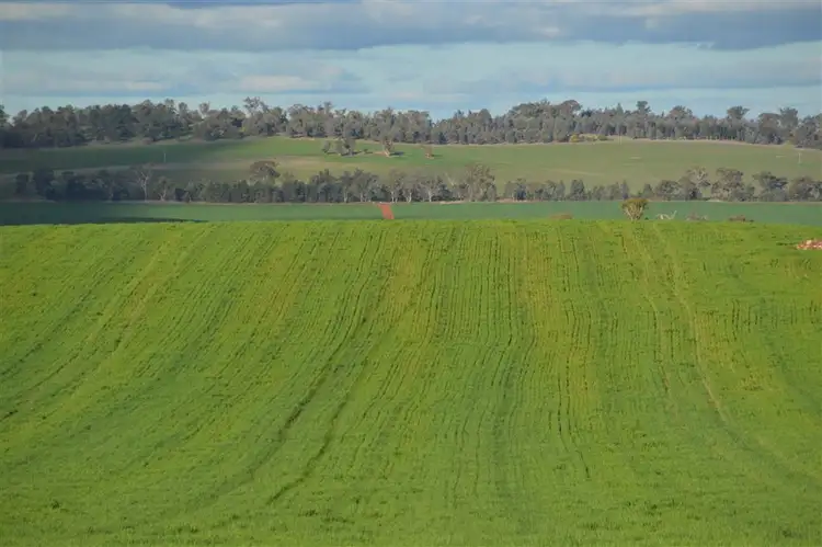 Seventh view of Homely rural property listing, The Village, East Millwood Road, Wagga Wagga NSW 2650