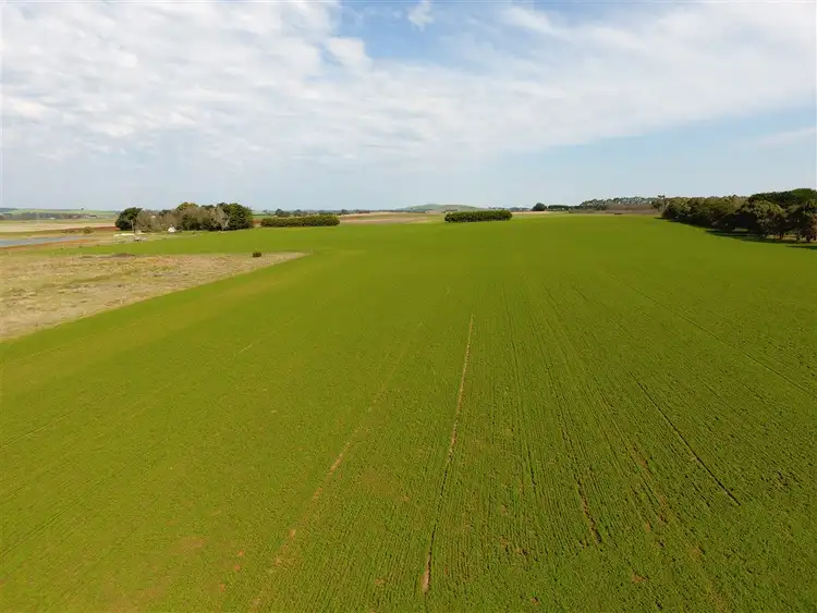 Seventh view of Homely rural property listing, 65 Kangaroo Hills Road, Blampied VIC 3364