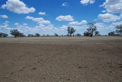 Main view of Homely rural property listing, . Middle Route Road, Burren Junction NSW 2386