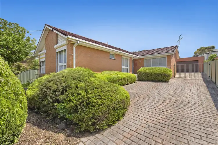 Main view of Homely house listing, 29 Norfolk Street, Glen Waverley VIC 3150