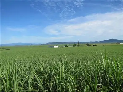 Main view of Homely rural property listing, 45 Kellys Road (Farm 1), Marian QLD 4753