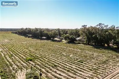 Fifth view of Homely land listing, 247 Carabooda Road, Carabooda WA 6033
