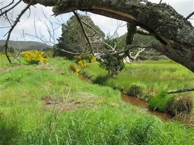 Fourth view of Homely land listing, 0 Main Street, Zeehan TAS 7469