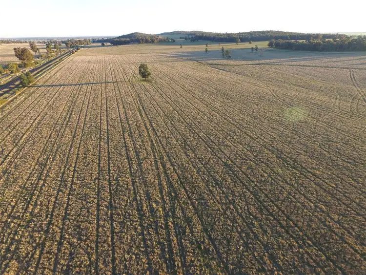 Seventh view of Homely rural property listing, Address available on request