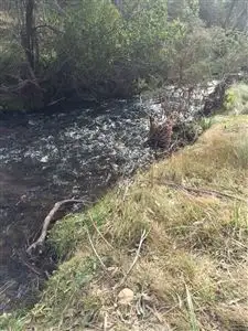Second view of Homely rural property listing, Lot 201 Hereford Hall Road, Braidwood NSW 2622