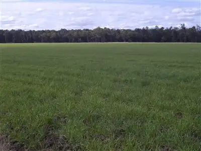 Fourth view of Homely rural property listing, - Punchs Creek Road, Millmerran QLD 4357