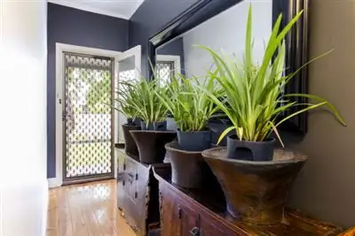 Second view of Homely house listing, 36 Fifth Ave, Ascot Park SA 5043