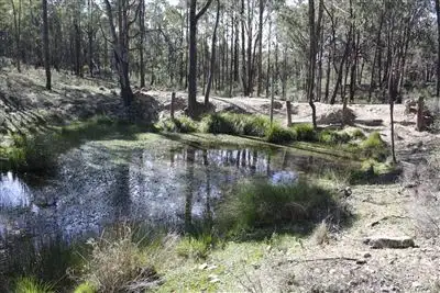 Sixth view of Homely rural property listing, 'Reids'/L43 - 46 Bonds Road Hargraves, Mudgee NSW 2850