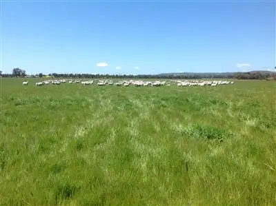 Main view of Homely rural property listing, 45 Diffeys Road, Springhurst VIC 3682