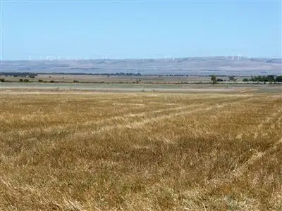Main view of Homely rural property listing, 1615 Lake View Road, Brinkworth SA 5464