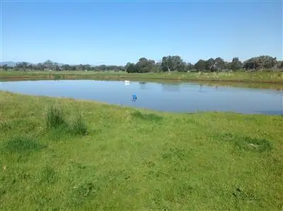 Fourth view of Homely rural property listing, 800 Gerogery Road, Table Top NSW 2640