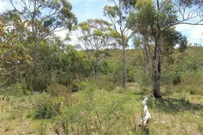 Third view of Homely rural property listing, 979 Bombay Road, Braidwood NSW 2622