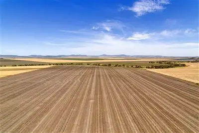 Lalagooli/West Normans Rd, Gunnedah NSW 2380