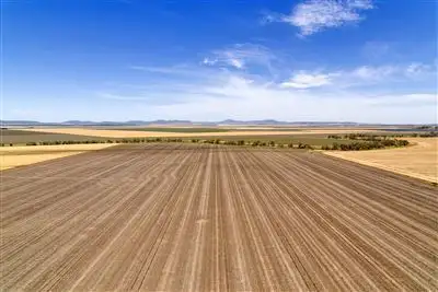 Main view of Homely rural property listing, Lalagooli/West Normans Rd, Gunnedah NSW 2380