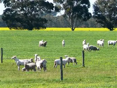 Fifth view of Homely rural property listing, Address available on request