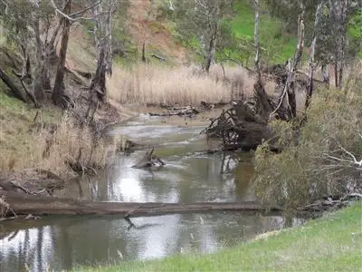 Seventh view of Homely rural property listing, Lot 3 & 4 Elmore - Barnadown Road, Elmore VIC 3558