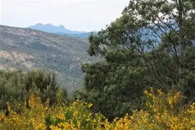 Seventh view of Homely land listing, 48 Gould Street, Gormanston TAS 7466