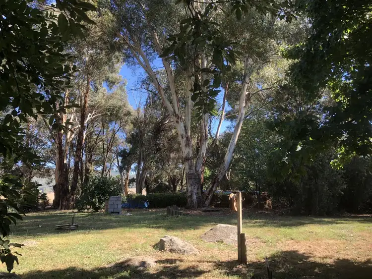 Seventh view of Homely rural property listing, 'Raymond' 2852 Jingellic Road, Tumbarumba NSW 2653