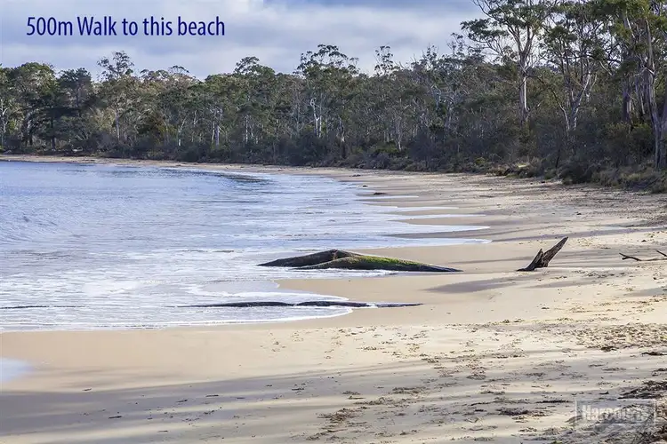 Second view of Homely land listing, 91 Williams Road, Randalls Bay TAS 7112
