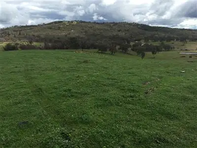 Third view of Homely rural property listing, The Lenore 33 Montana Road, Peelwood NSW 2583