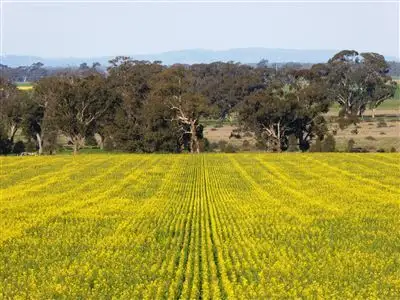 'Sanger' Corona Rd,, Corowa NSW 2646