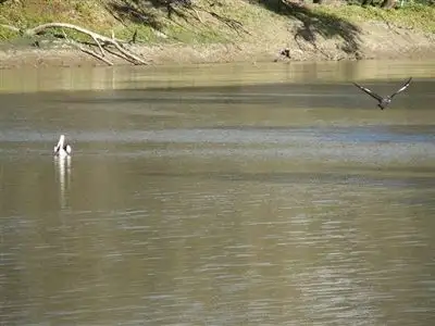 Third view of Homely rural property listing, . Rivergum Farm, Bourke NSW 2840