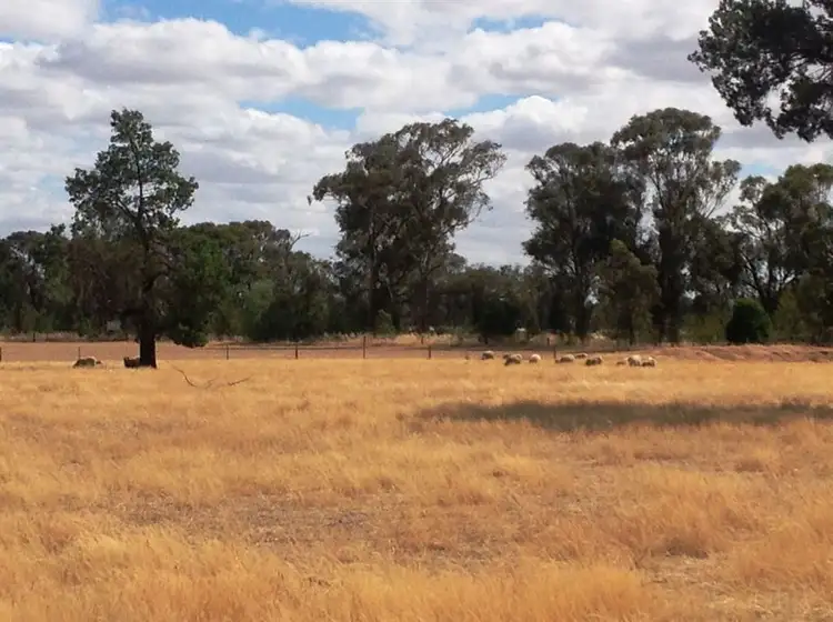 Third view of Homely rural property listing, Lots/25-28 5318 Olympic Hwy,, Henty NSW 2658