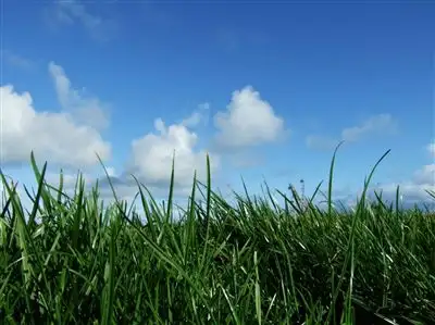 Fifth view of Homely rural property listing, 120 Don Kendall Drive, Loorana TAS 7256