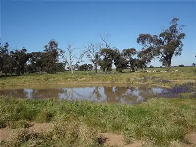 Seventh view of Homely rural property listing, . Morotai, Deniliquin NSW 2710