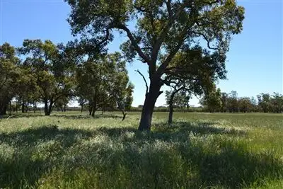 Fifth view of Homely rural property listing, Lot 2373 Bambun Road, Gingin WA 6503