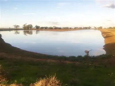 Fifth view of Homely rural property listing, Westaway Bartletts Road, Deniliquin NSW 2710