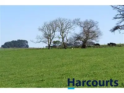 Fifth view of Homely rural property listing, 710 McDonalds Track, Thorpdale VIC 3835