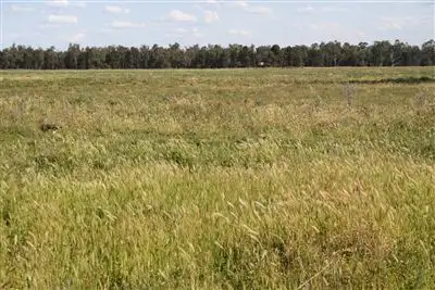 Seventh view of Homely rural property listing, 2554 East Coonamble Rd, Curban NSW 2827