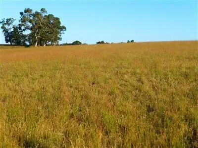 Fourth view of Homely rural property listing, . Bunbury Road, Keith SA 5267