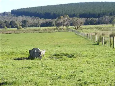 Fourth view of Homely rural property listing, 137 Sporer's Lane, Mount Burr SA 5279