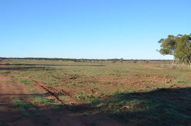 Fifth view of Homely rural property listing, * The Top Block, Cobar NSW 2835