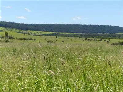 Fourth view of Homely rural property listing, . "Robinson Paddock", Taroom QLD 4420