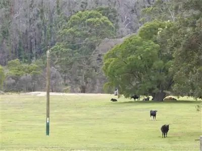 Main view of Homely rural property listing, 1821 Boorara Road, Northcliffe WA 6262