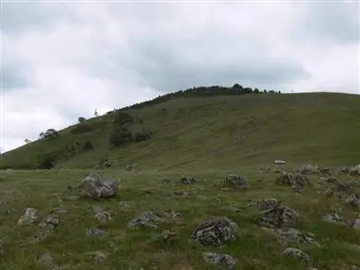 Seventh view of Homely rural property listing, 1 Easter Brooks Lane, Elmhurst VIC 3469