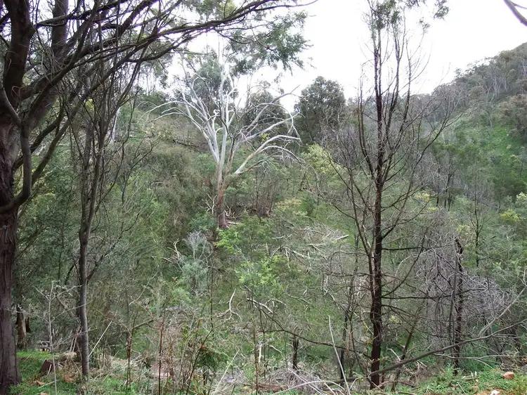 Seventh view of Homely rural property listing, 1520 Yarck Road,, Gobur VIC 3719