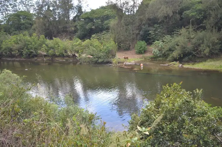 Fifth view of Homely rural property listing, Lot 2/1161 Pipeclay Rd, Pipeclay NSW 2446