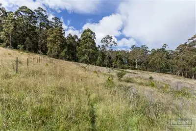 Second view of Homely land listing, RA Morrisons Road, Huonville TAS 7109