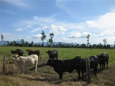 Seventh view of Homely rural property listing, 22 Russell Henry Road, Murray Upper QLD 4854