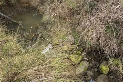 Sixth view of Homely land listing, 572 Esperance Coast Road, Police Point TAS 7116