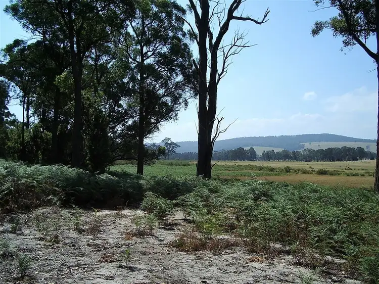 Fifth view of Homely rural property listing, 665 Nicholson Sarsfield Road, Bairnsdale VIC 3875