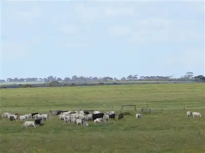 Second view of Homely rural property listing, Lot 1011 Melalueca Road, Esperance WA 6450