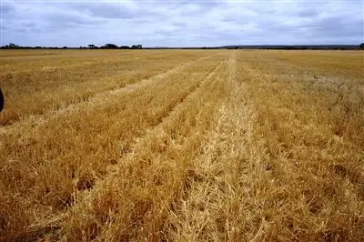 Sixth view of Homely rural property listing, Address available on request